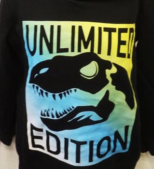 Sweatshirt Gr. 110/116 von dopodopo (818)